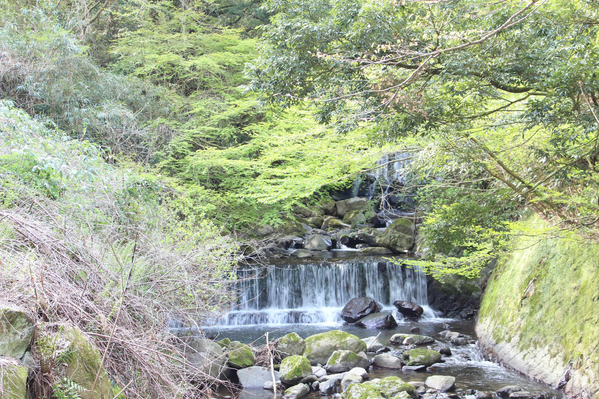 Hakone Guesthouse Toi Exteriér fotografie